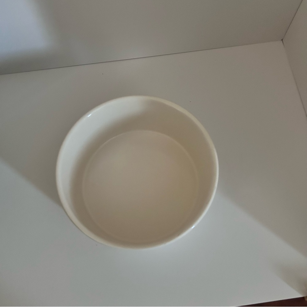 Rae Dunn Ceramic Pet Bowl - Picture 4 of 5